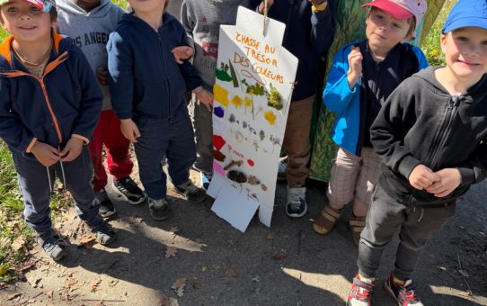 Quintal sous le soleil !